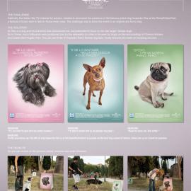 罗马SKY天空电视台广告