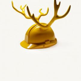 与大自然一起我们才能共创未来