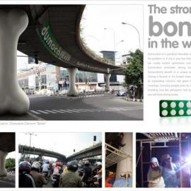 世界上最强健的骨头