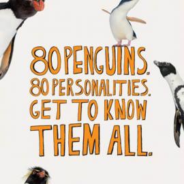 新英格兰水族馆的几组广告