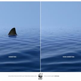 WWF公益广告：哪边更可怕？