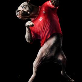 Veikkaus足球博彩：体育刺激