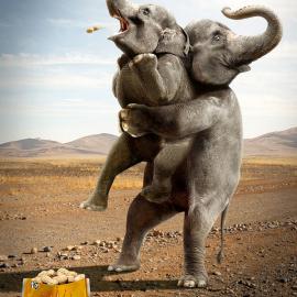 非常有创意的搞笑国外平面广告