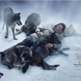 SHANGRI-LA香格里拉酒店&度假村广告