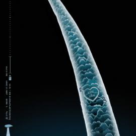 德国(Braun博朗)精密剃须刀广告