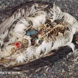 Endangered野生动物信托基金会广告