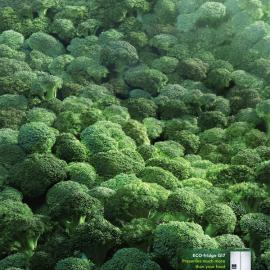 Whirlpool生态冰箱广告：西兰花篇