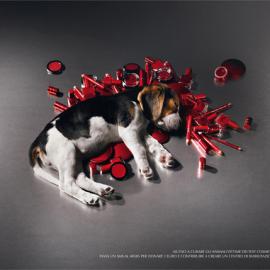 ENPA国家动物保护协会:Make up