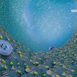 Clorox For Color: 永不褪色