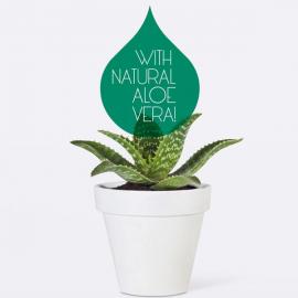 El Tala 植物花卉广告欣赏