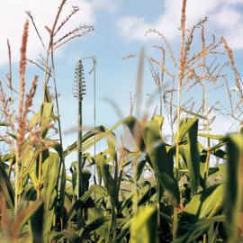 Prime TV电视媒体广告欣赏