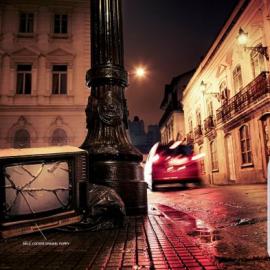 圣保罗市政府公益广告：不要抛弃你的宠物