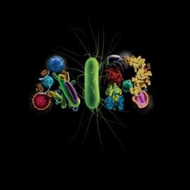 Airfree空气净化器广告欣赏