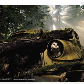 斯柯达汽车广告