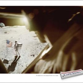 开普时报最新广告