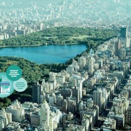 曼妥思（mentos）薄荷糖