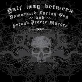 Revolution Mixed Martial Arts最新广告