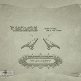 Enpa 保护动物广告欣赏