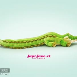 apiJane.cl成人玩具精品广告