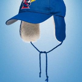 多伦多蓝鸟棒球队最新宣传海报