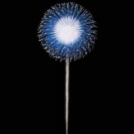 舒帕Chups最新广告欣赏