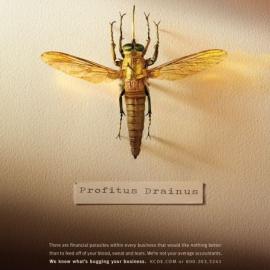 肯尼迪和安科会计师事务所