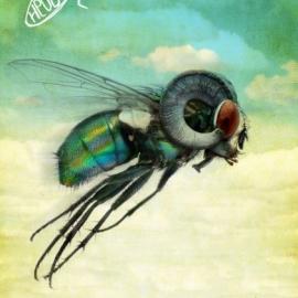 新保加利亚大学研究生招贴