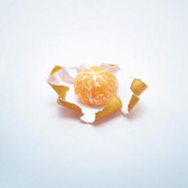 Calgary Farmers' Market: 新鲜的假期