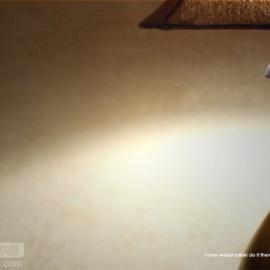 Terminix:有的宁愿自己做