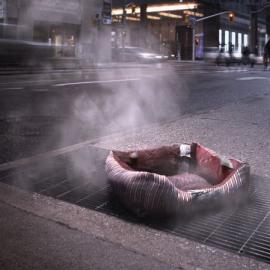 HelpingHomelessPets.com――网站广告欣赏