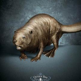 Queen Bee Waxing：强效脱毛