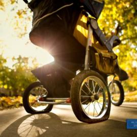 霍格尔动物园海报欣赏