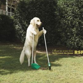 RSPCA布里斯班爱护动物协会