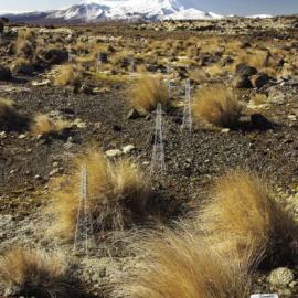 Fuji Xerox复印机最新广告欣赏