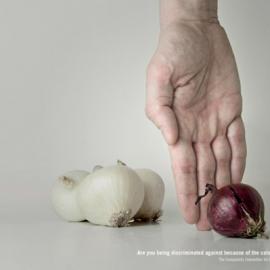 丹麦反种族歧视联盟