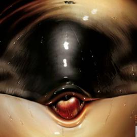 巴西滕普公司海报欣赏