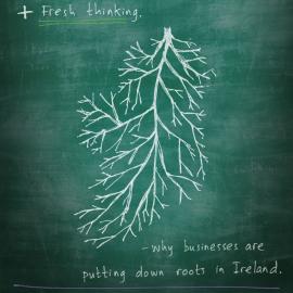 爱尔兰投资发展海报欣赏