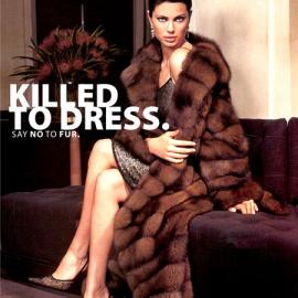国外广告公司反皮草海报欣赏