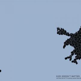 ACT电台：老鹰捉小蛇