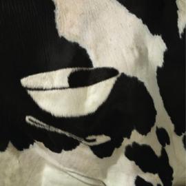 OMSCO牛奶：有机生活每一天