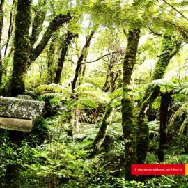 DHL快递：无论寄往何处，我们都会到达