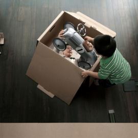 Fedex联邦快递：难以预料的快捷