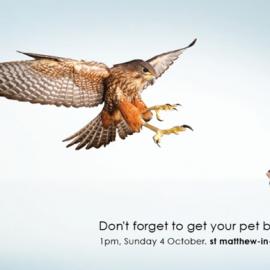 St Matthews圣马修斯城市：宠物祝福