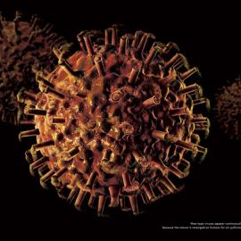 Greenpeace(绿色和平)广告：森林滥伐