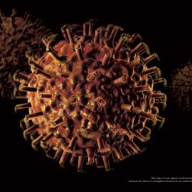 Greenpeace绿色和平组织：新病毒不断出现
