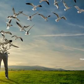 Aero República航空公司广告