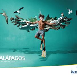 Tame Ecuador(航空公司)创意广告