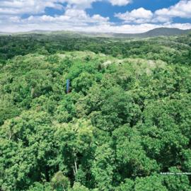 Dewfresh(长寿命)牛奶