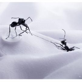 碧浪最新广告欣赏