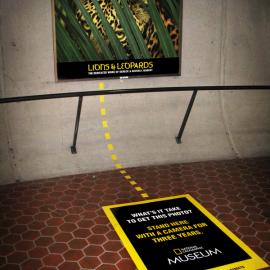 国家地理博物馆广告